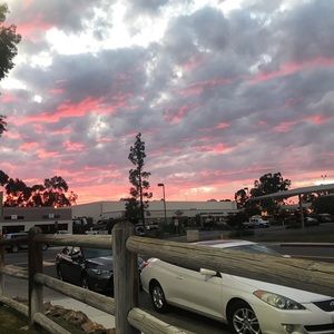 Meet your Posher, Daisy